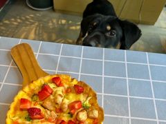 -百好乐宠物友好餐厅(朝外大街店)