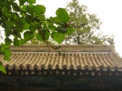 -窦大夫祠