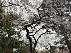 -京都御所