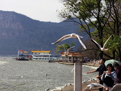 -滇池海埂公园