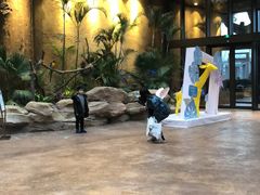 -杭州开元森泊度假乐园