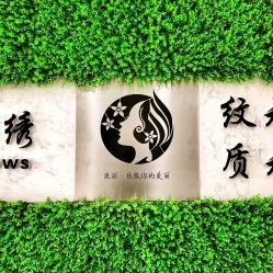 -臣丽纹眉品牌连锁