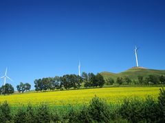 -塞罕坝国家级自然保护区