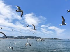 -刘公岛景区