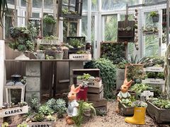 -深圳市中科院仙湖植物园