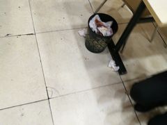 -张明富面皮店(东大街店)