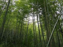 -南山风景名胜区