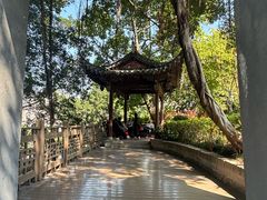 -乌山风景区