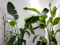 -隐食餐厅(金水湾公馆店)