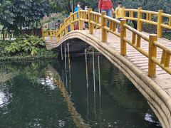 -晓港公园