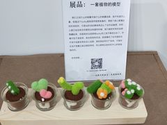 -成都失恋馆