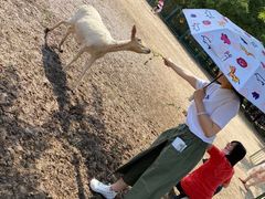 -北京麋鹿生态实验中心