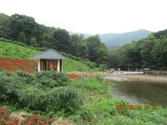 -广州市石门国家森林公园