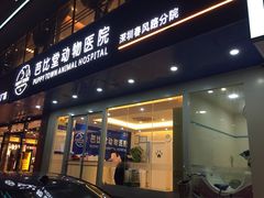 -芭比堂动物医院·24小时·眼科中心(深圳中心)