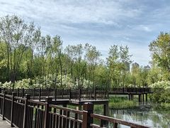 -群力丁香公园