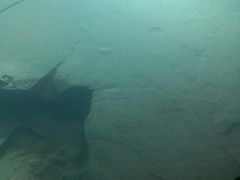 -白鹤梁水下博物馆