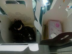 -丹香(潍坊泰华城店)