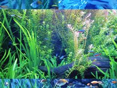 -上海海洋水族馆