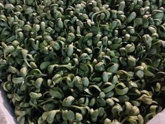 -江杨农产品批发市场