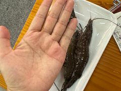 -养牛邓·潮汕牛肉海鲜自助火锅(广州店)