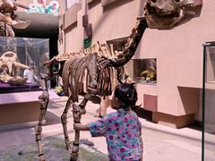 -陕西自然博物馆