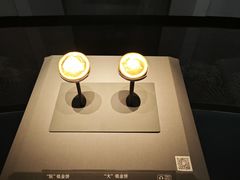 -广西壮族自治区博物馆