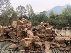 -西安秦岭野生动物园