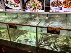 -百鱼庄(仙葫店)
