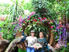 -西双版纳勐泐文化旅游区