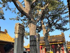 -五台山风景名胜区-罗睺寺