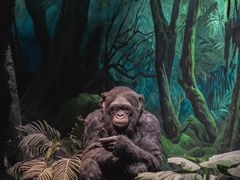 -国家自然博物馆