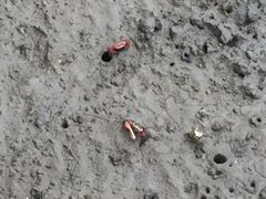 -北海金海湾红树林生态旅游区