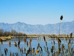 -野鸭湖国家湿地公园