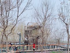 -东郊湿地公园