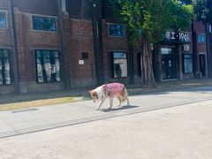 -小意思咖啡店(草桥店)