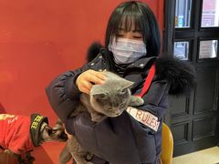 -猫色咖啡·猫咖