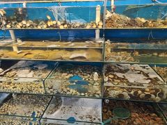 -仙螺岛海鲜自助餐厅(总店)