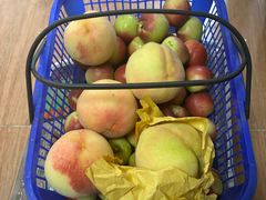 -南汇新场正宗水蜜桃采摘