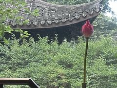 -乾园.魏庐湖景餐厅(花港店)
