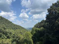-韬光茶庵