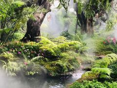 -Chom Cafe and Restaurant