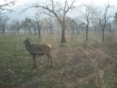 -西安秦岭野生动物园