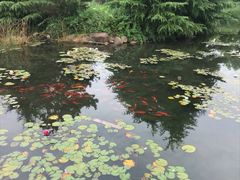 -白马涧龙池景区