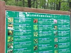 -崂山巨峰游览区