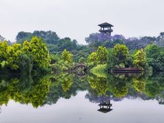 -张坝桂圆林公园