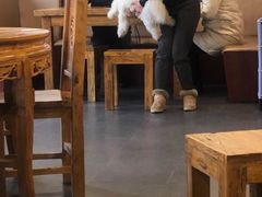 大堂-兰州马子禄牛肉面(文景公园店)