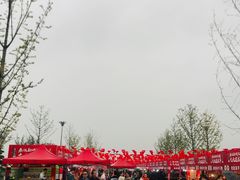 -秦文明广场