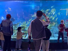 -烟台海昌鲸鲨海洋公园