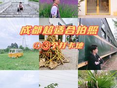 -紫颐香薰山谷景区