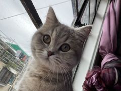 -威尔仕健身·游泳(KING88店)